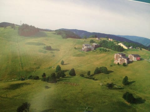 Neighbourhood, Natural landscape, Bird's eye view, Summer