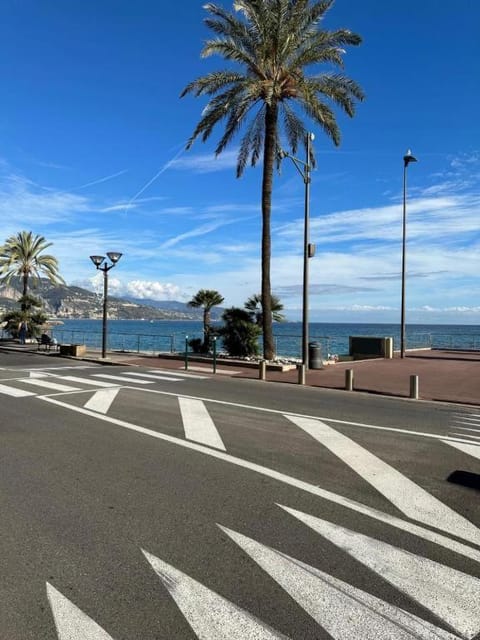 Charmant studio à 2 pas de la mer et du train Apartment in Roquebrune-Cap-Martin