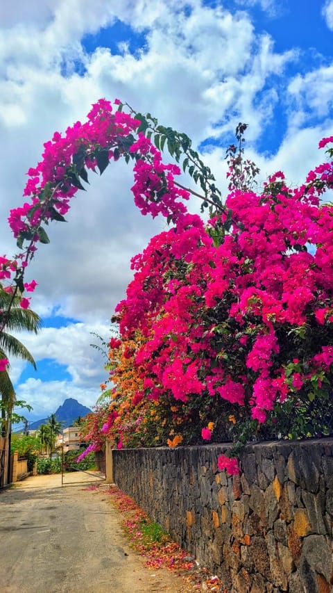 Natural landscape