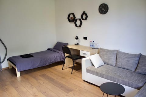 Bed, Living room, Photo of the whole room, Seating area