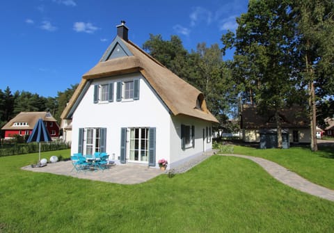 Property building, Garden, Garden, Garden view