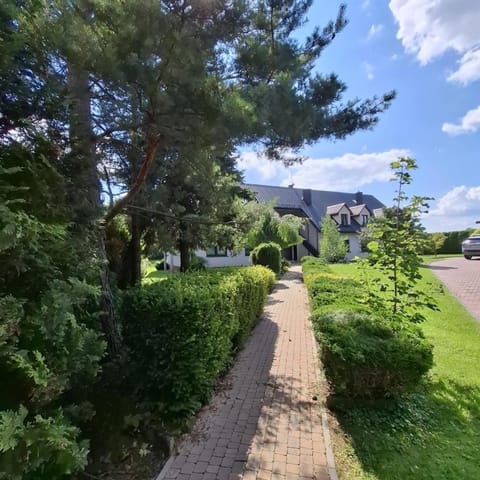 Day, Natural landscape, Garden