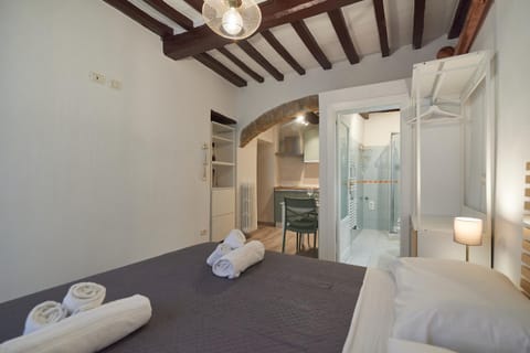 AM14 - Open space in the heart of the city Apartment in Perugia