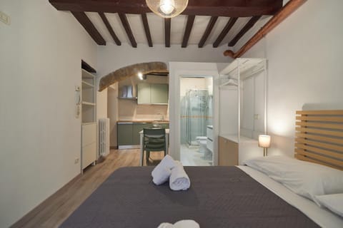 AM14 - Open space in the heart of the city Apartment in Perugia