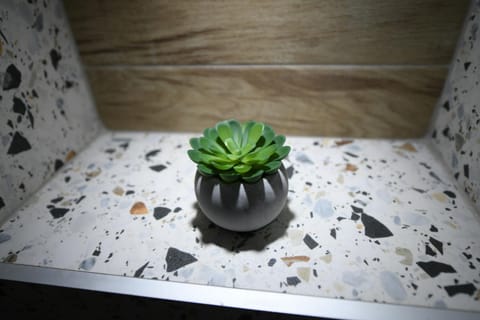 Cristal Palace Suites 004 Apartment in Serbia