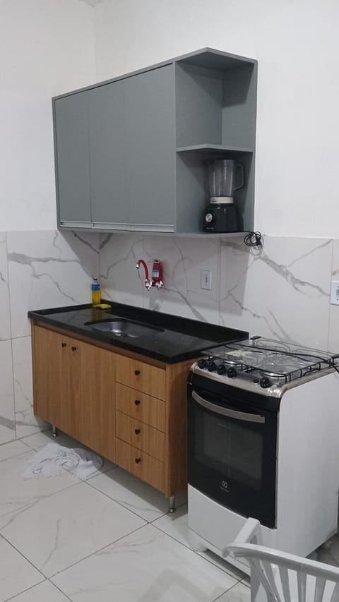 Kitchen or kitchenette, dishwasher, stove