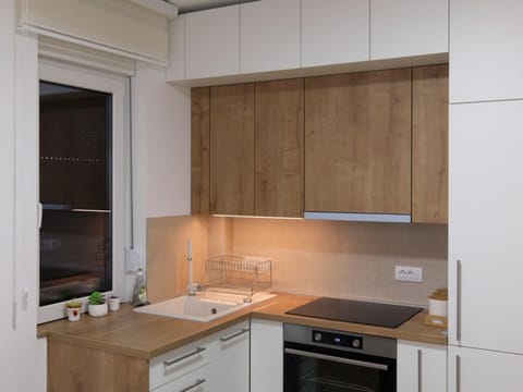 Apartman ANDJA Apartment in Vojvodina