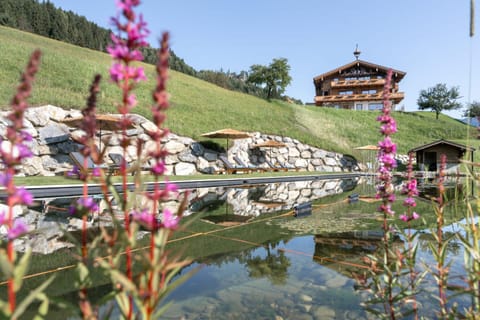 Property building, Garden view, Pool view, Swimming pool