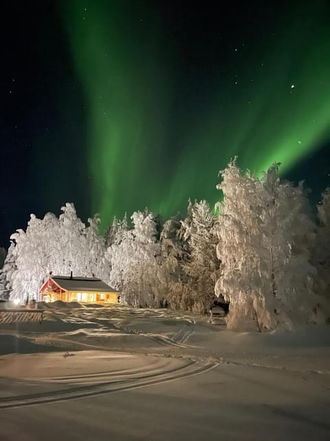 Property building, Night, Winter