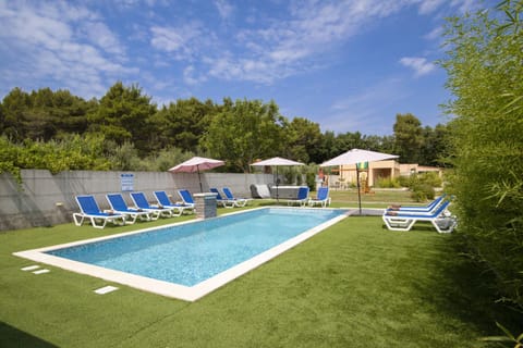 Garden, Swimming pool, sunbed