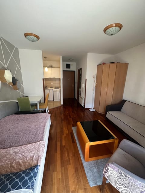 Living room, Photo of the whole room, Seating area, Dining area, Bedroom