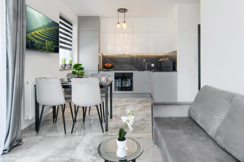 Kitchen or kitchenette, Living room, Seating area, Dining area, dishwasher, oven, stove