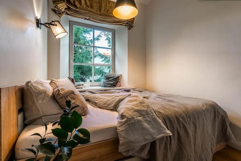 Domillion New City Hall Duplex D11C for 12 ppl Apartment in Vilnius