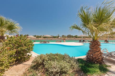 Natural landscape, Garden, Pool view, Swimming pool, sunbed