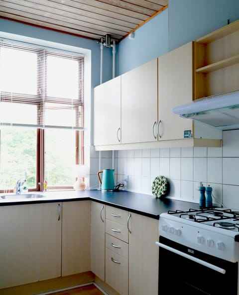 Greenbrook - Blue Lounge Bed and Breakfast in Aalborg