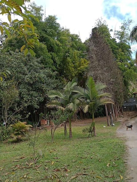 Estúdio Som do Riacho Apartment in Nova Friburgo