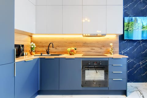 Kitchen or kitchenette, dishwasher, oven, stove