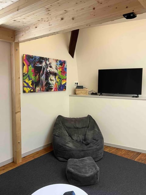 LOFT DU 3ème Apartment in Bourgogne-Franche-Comté