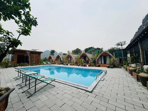 Day, Pool view, Swimming pool, sunbed
