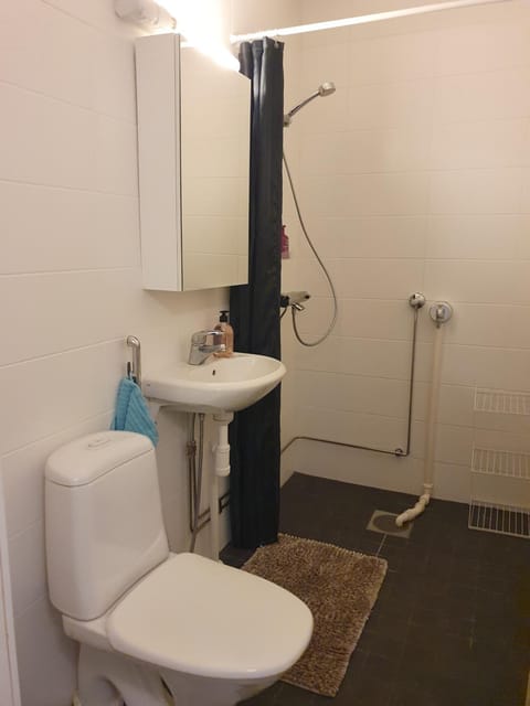 Enonkoski asunto mukavuuksilla keskustassa Apartment in Finland