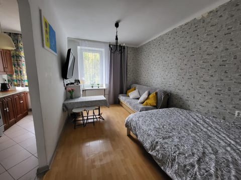 Bed, TV and multimedia, Kitchen or kitchenette, Living room, Photo of the whole room, Seating area, Bedroom