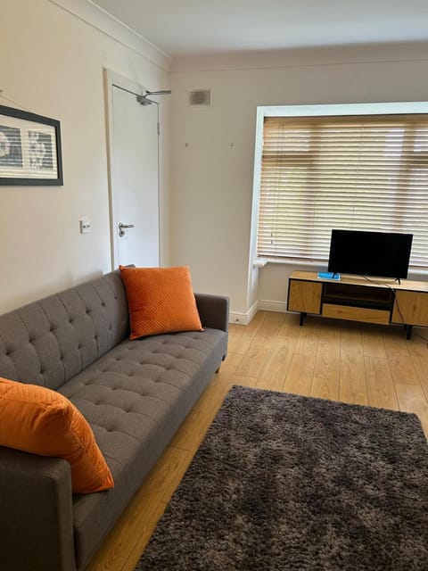 The Lake Apartment in Ireland