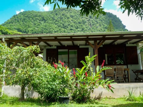 Garden, Garden view, Mountain view