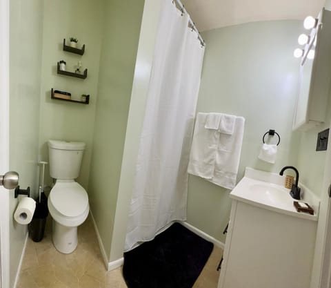 Shower, Toilet, Bathroom, towels