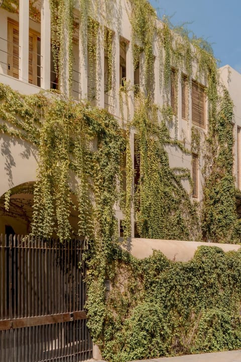 Condominios Punta Morelos Apartment in Brisas de Zicatela