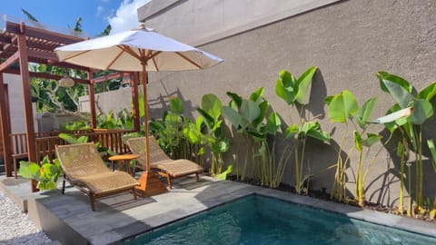 Garden, Garden view, Pool view, Swimming pool, Swimming pool, sunbed