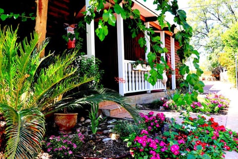 Garden, Garden view