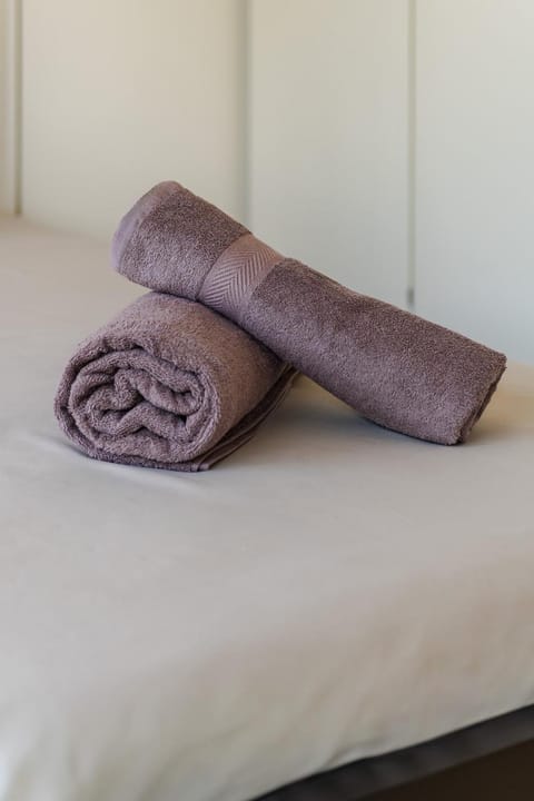 4 Bd in the Majestic Domus Aurea Apartment in Bologna