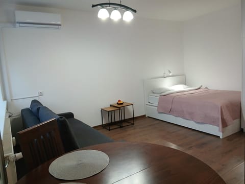 Alytus Studio 45 Apartment in Lithuania