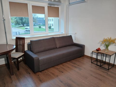 Alytus Studio 45 Apartment in Lithuania