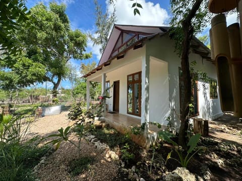 Property building, Day, Garden view