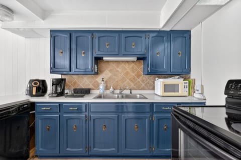 Lakefront Getaway with Private Dock & Scenic Views home House in Kingsport