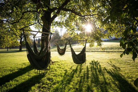 Natural landscape, Garden, Garden