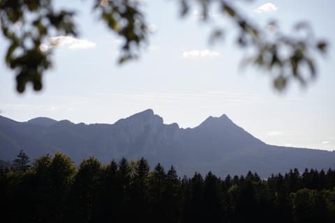 Natural landscape, Garden, Mountain view
