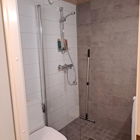 Niittytie Alexsandra Apartment in Finland