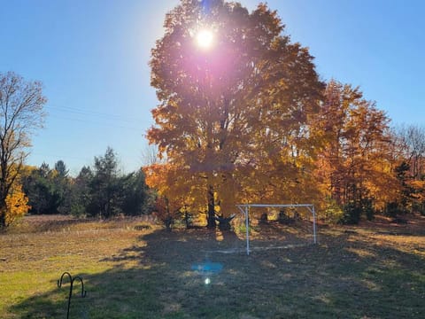 Natural landscape, Balcony/Terrace, Garden view