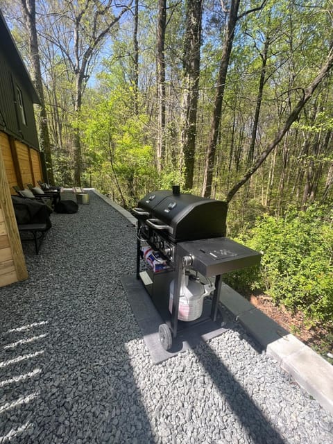 The Modern Metal Oasis House in Woodstock