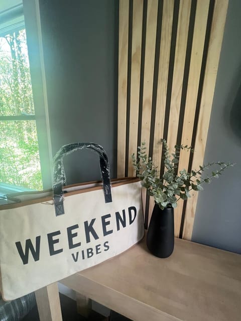 The Modern Metal Oasis House in Woodstock