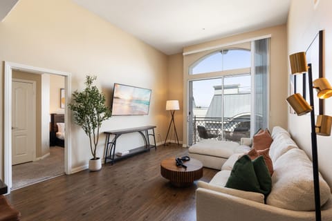 TV and multimedia, Balcony/Terrace, Living room, Photo of the whole room, Decorative detail, internet, pet friendly, pet friendly, air conditioner