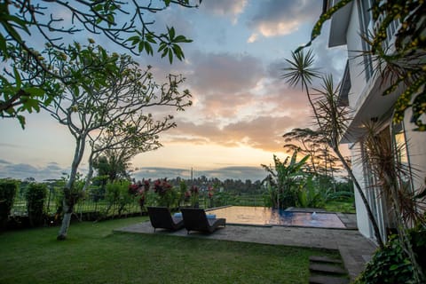 Natural landscape, Swimming pool, Sunset, sunbed