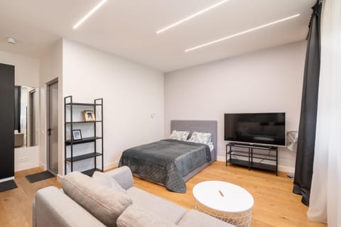 Bed, TV and multimedia, Living room, Photo of the whole room, Seating area, Bedroom