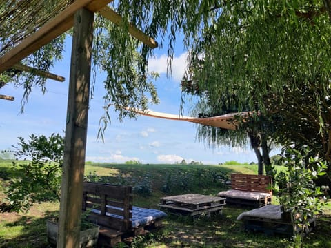 Day, Natural landscape, Garden, Garden view, River view, Inner courtyard view