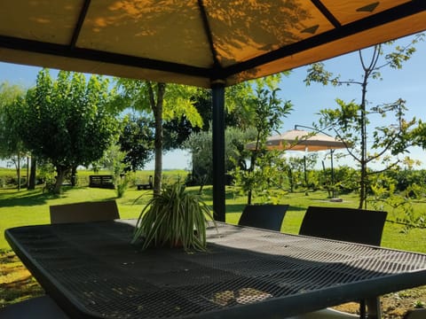 Spring, Day, Natural landscape, Garden, Garden view, River view, Inner courtyard view