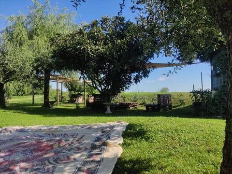 Day, Natural landscape, Garden, Garden view, River view, Inner courtyard view