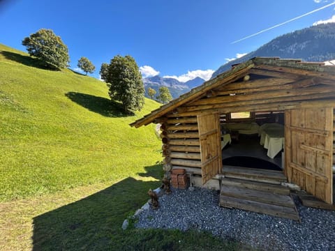 Natural landscape, Garden view, Mountain view