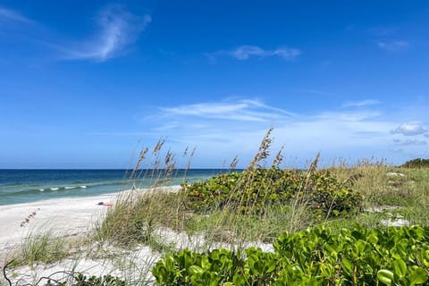 Natural landscape, Beach, Sea view